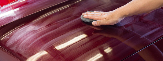 WHAT IS CARNAUBA WAX AND HOW SHOULD YOU USE IT?