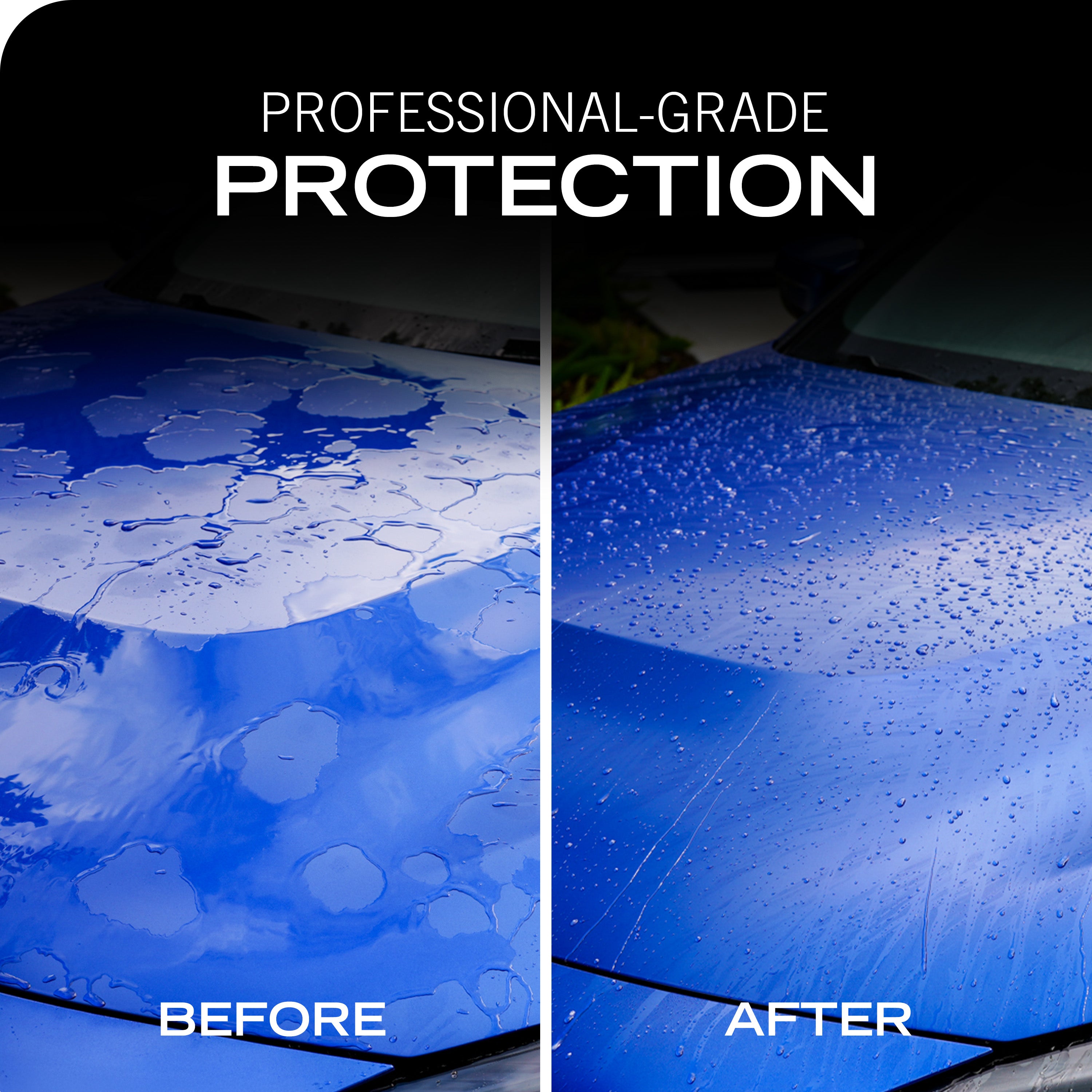Exterior Car Care & Detailing Products | Turtle Wax US Store